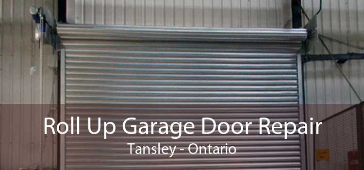 Roll Up Garage Door Repair Tansley - Ontario