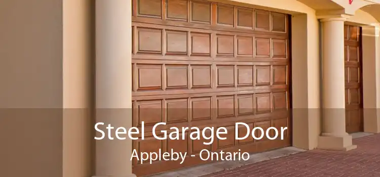 Steel Garage Door Appleby - Ontario